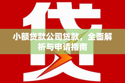东港小额贷款公司贷款，全面解析与申请指南