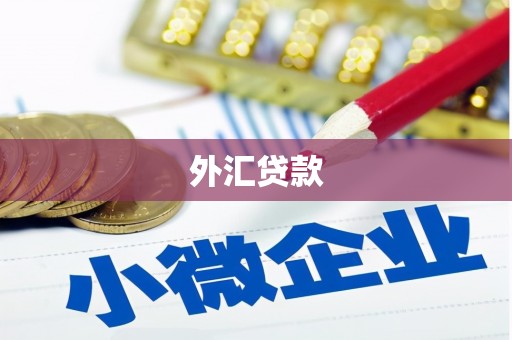东港外汇贷款