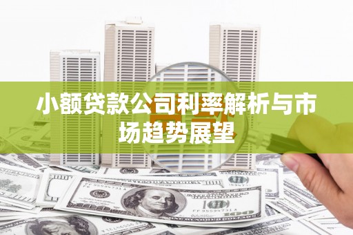 东港小额贷款公司利率解析与市场趋势展望