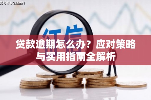 东港贷款逾期怎么办？应对策略与实用指南全解析