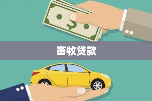 东港畜牧贷款
