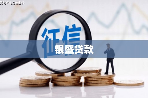 东港银盛贷款