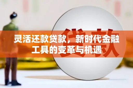东港灵活还款贷款，新时代金融工具的变革与机遇
