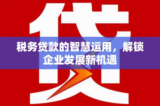 东港税务贷款的智慧运用，解锁企业发展新机遇